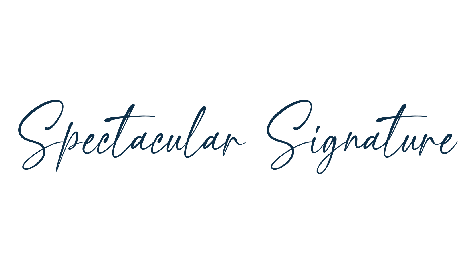 Spectacular Signature, script handwritten fancy decorative calligraphy font preview