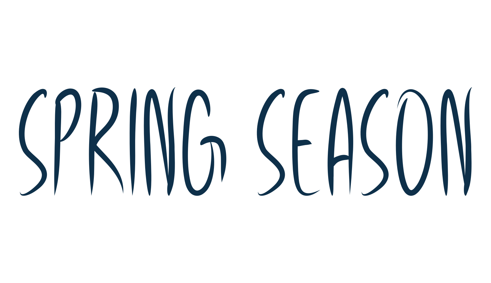 Spring Season, script handwritten fancy decorative calligraphy font preview