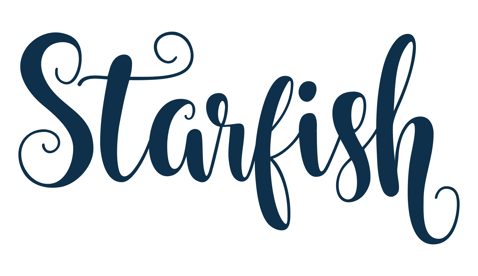 Starfish (starfish), fancy various decorative script calligraphy font preview