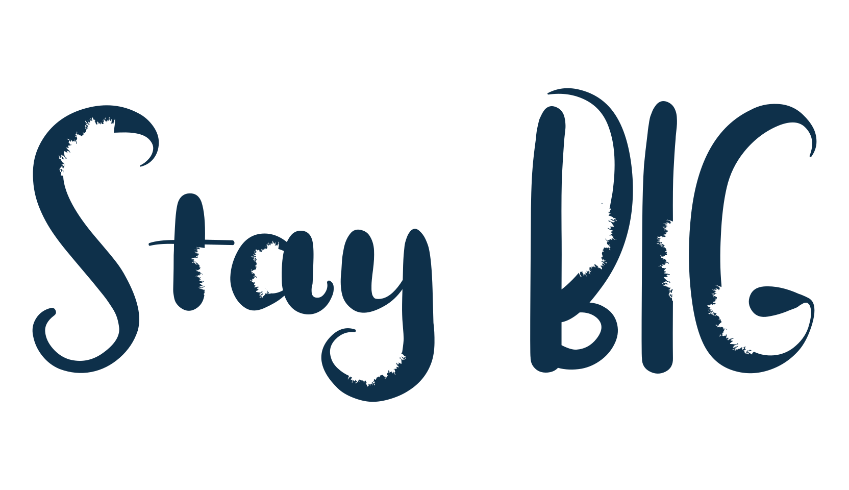 Stay BIG, fancy decorative font preview