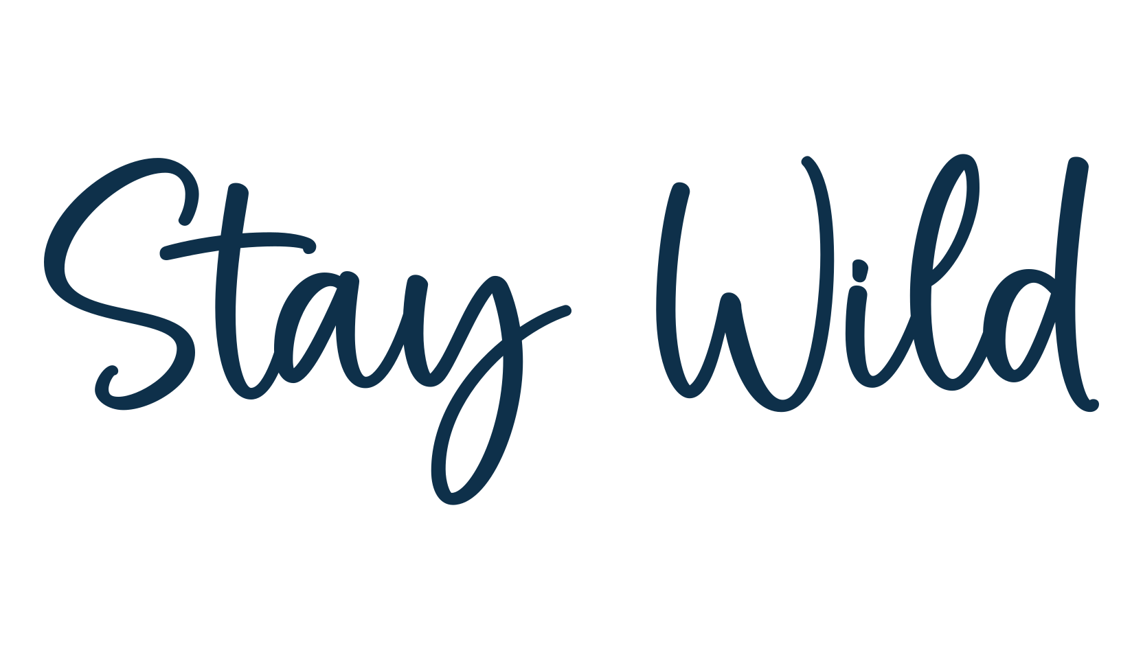 Stay Wild, handwriting font preview