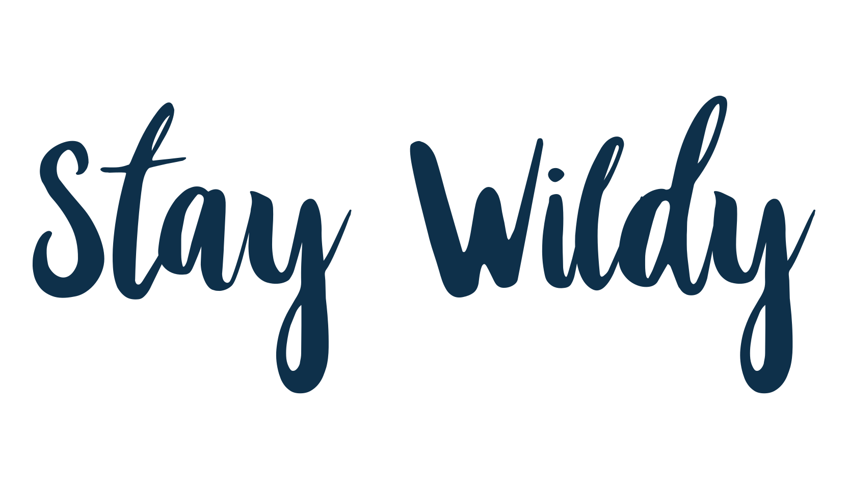 Stay Wildy, script handwritten fancy decorative calligraphy font preview