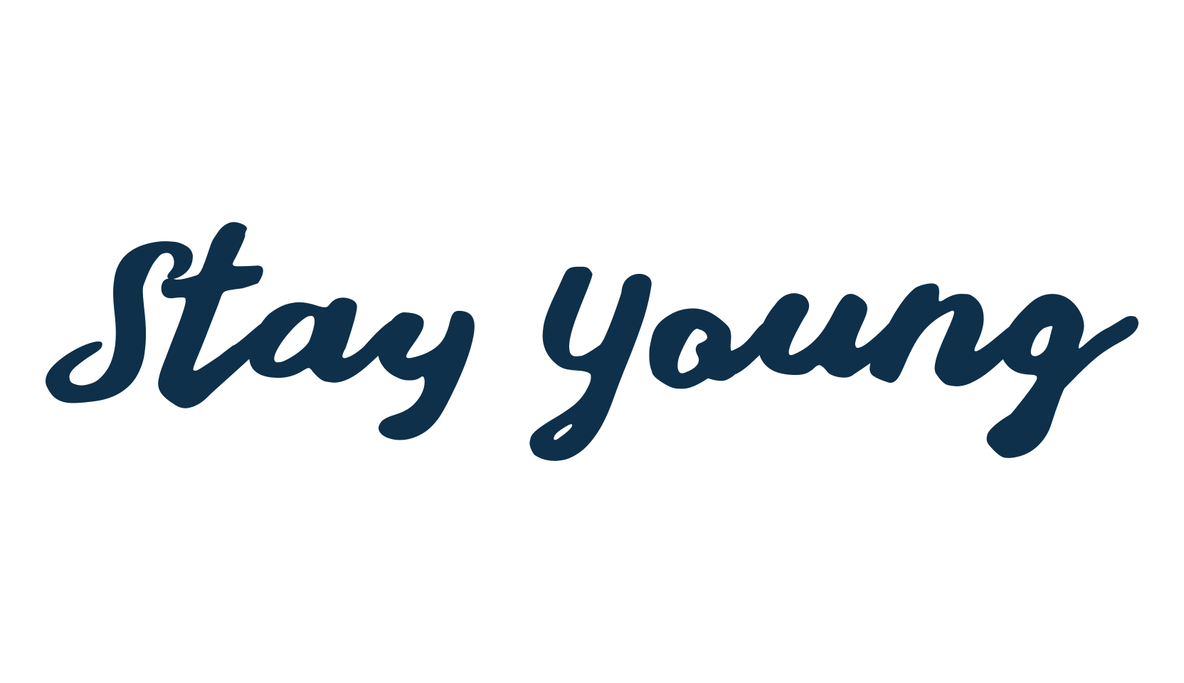 Stay Young, script handwritten fancy decorative calligraphy font preview