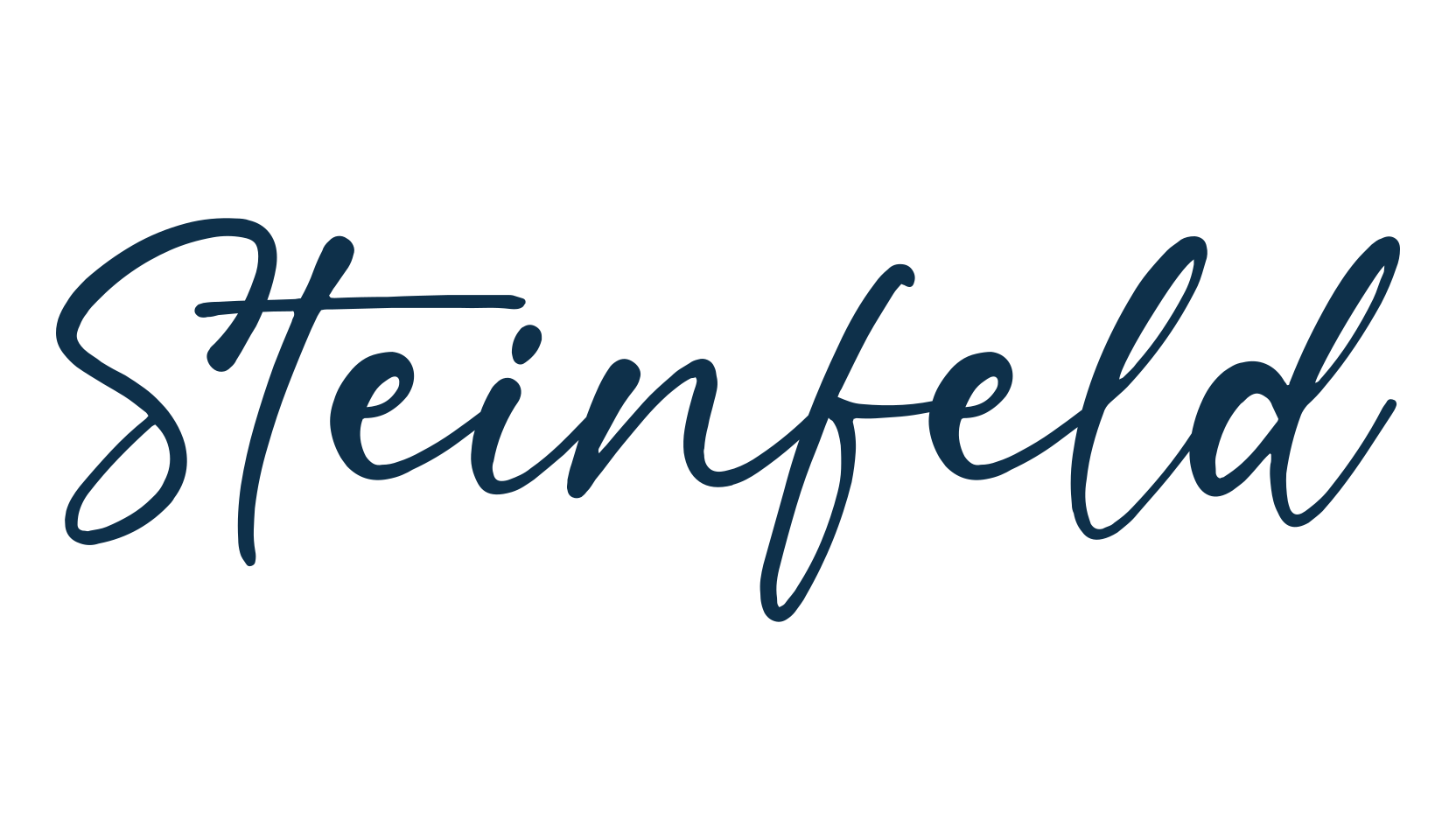 Steinfeld, script handwritten fancy decorative calligraphy font preview
