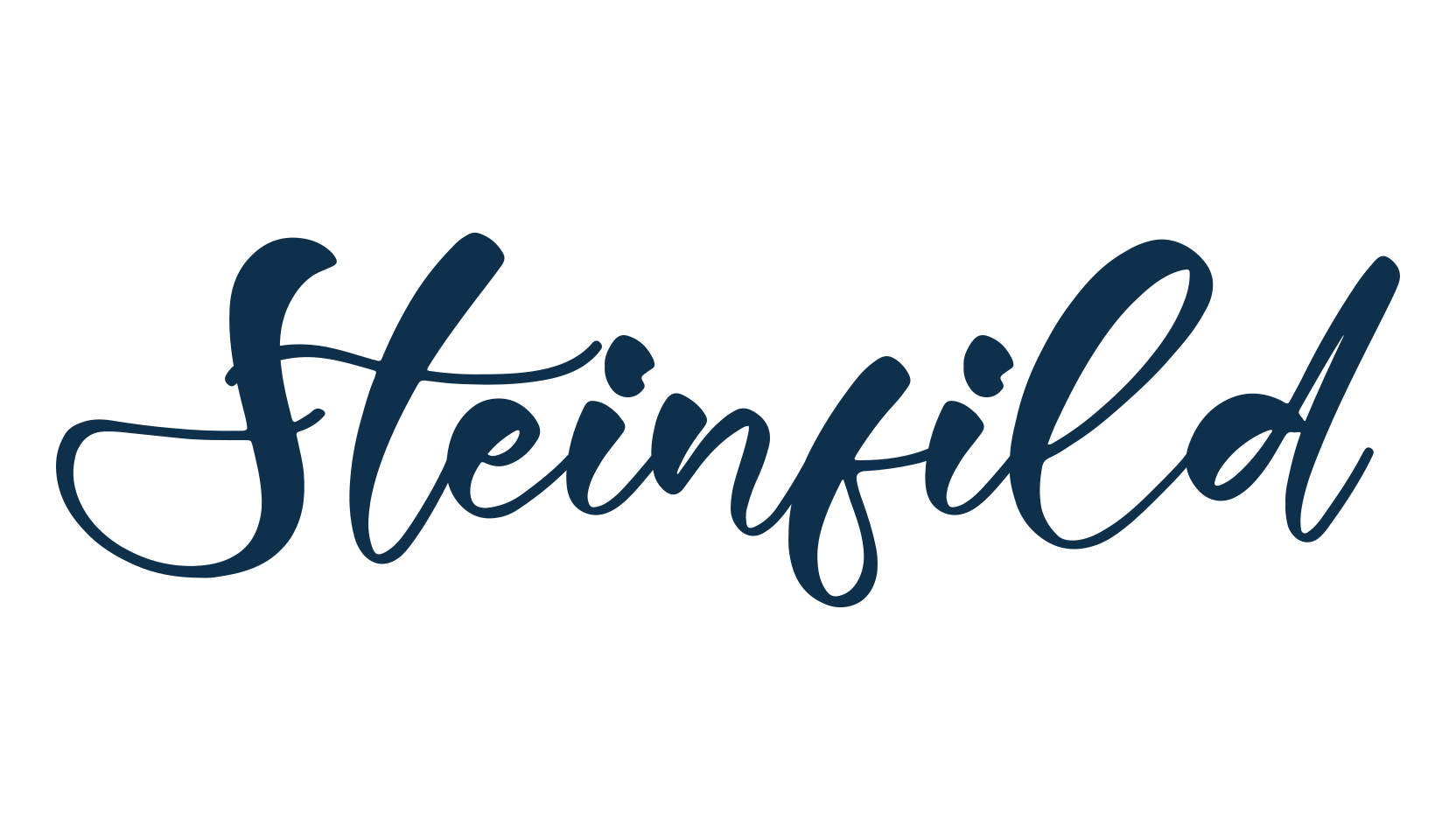 Steinfild, script handwritten fancy decorative calligraphy font preview