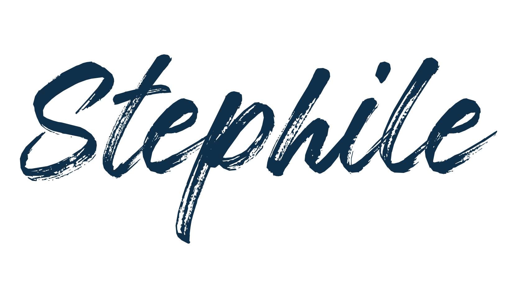 Stephile, script brush fancy decorative calligraphy font preview