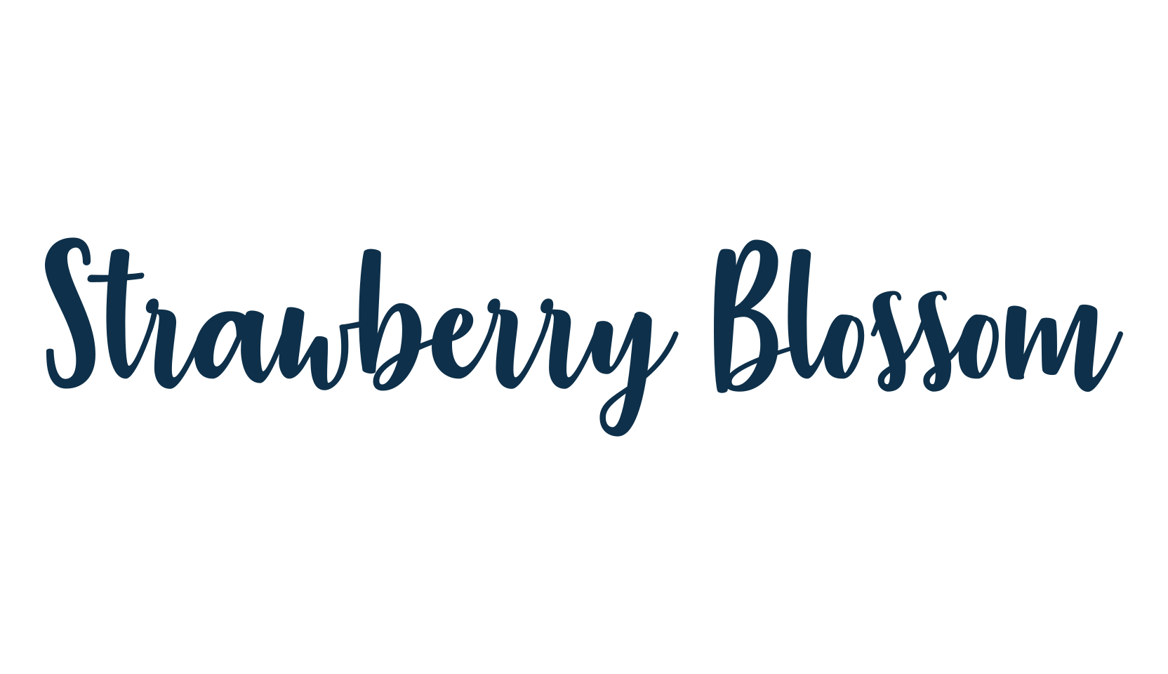 Strawberry Blossom, script brush fancy decorative calligraphy font preview