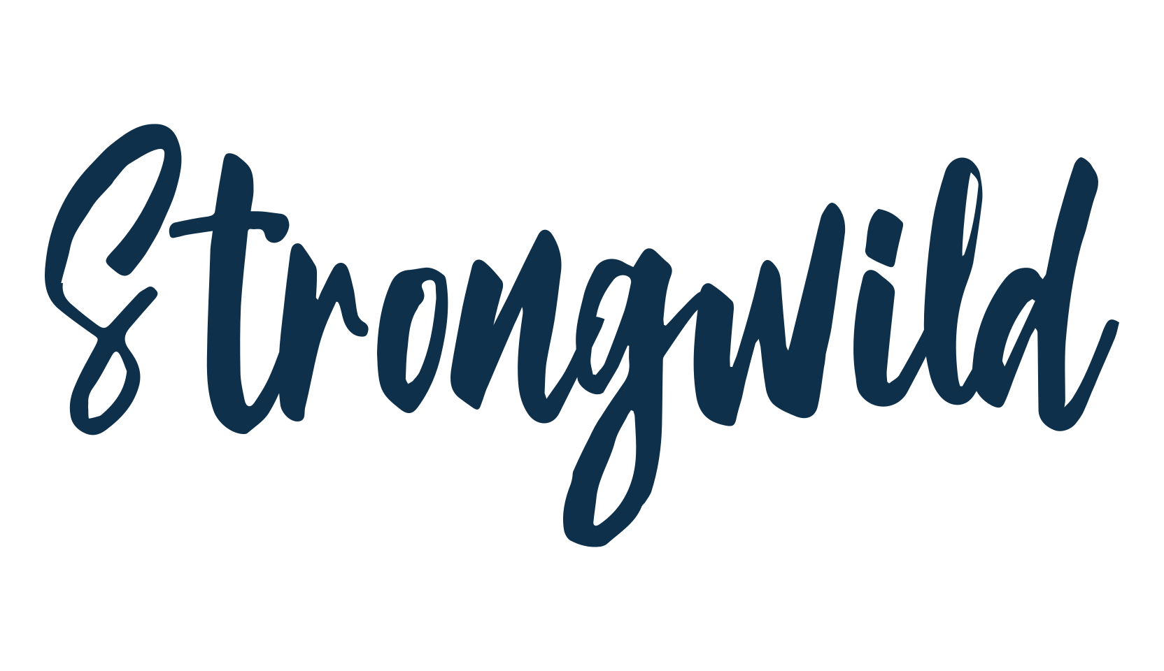 Strongwild, brush font preview