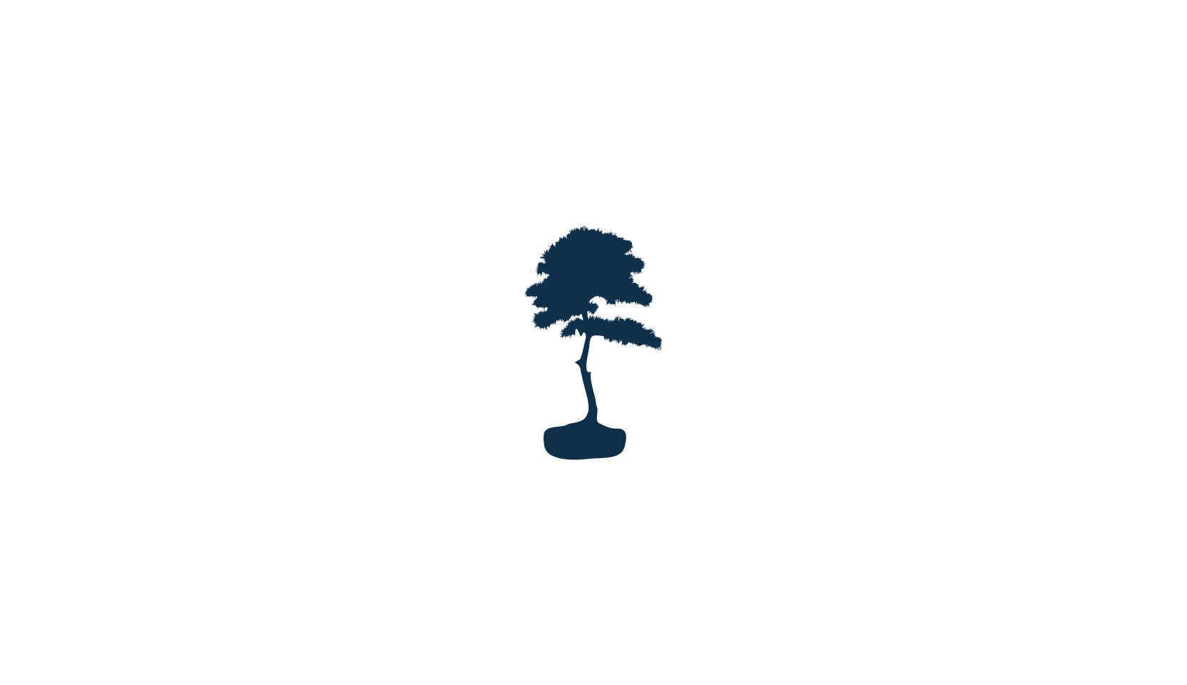 Subikto Tree, display market font preview