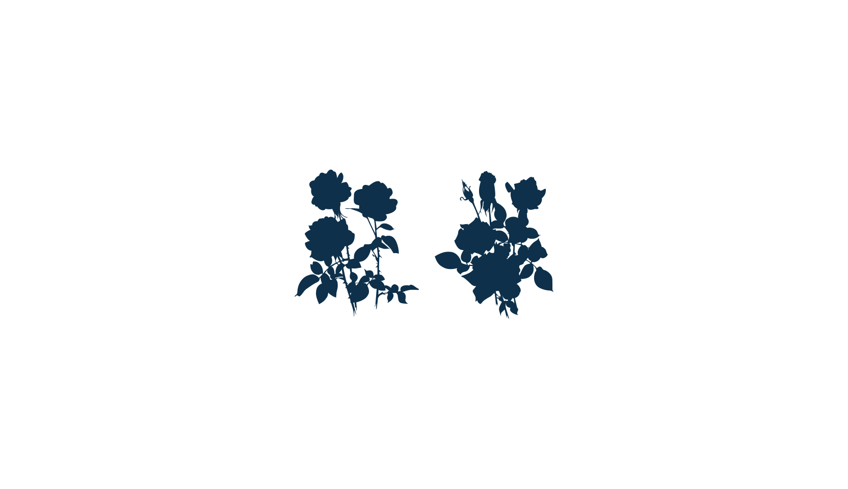 SubiktoTwo, fancy decorative font preview