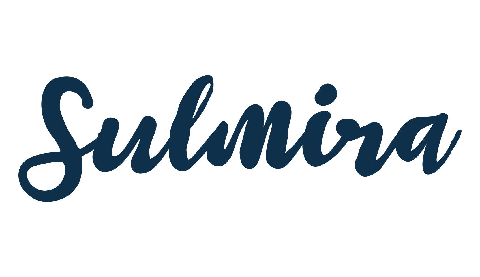 Sulmira, script handwritten fancy decorative calligraphy font preview
