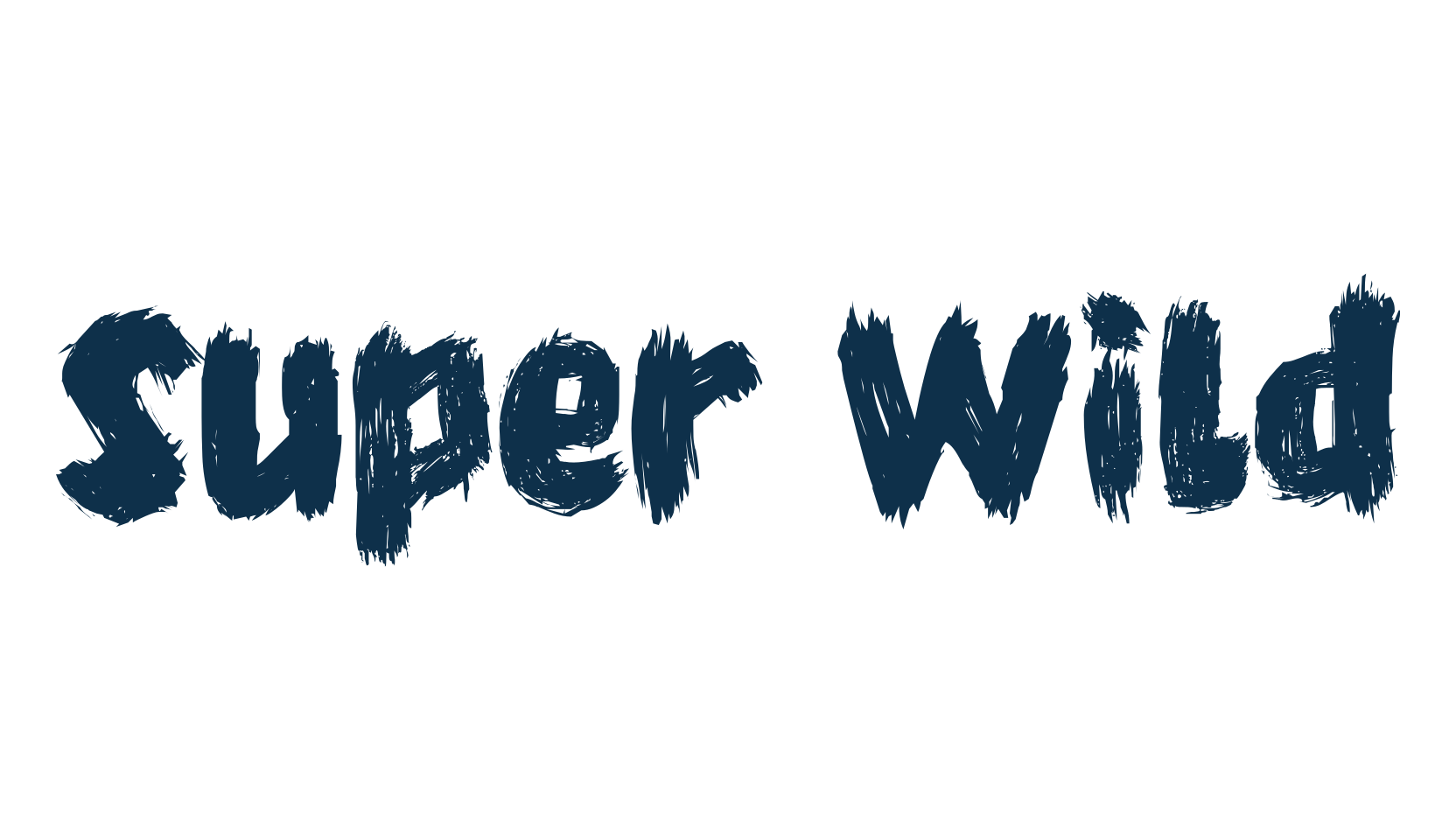 Super Wild, brush font preview