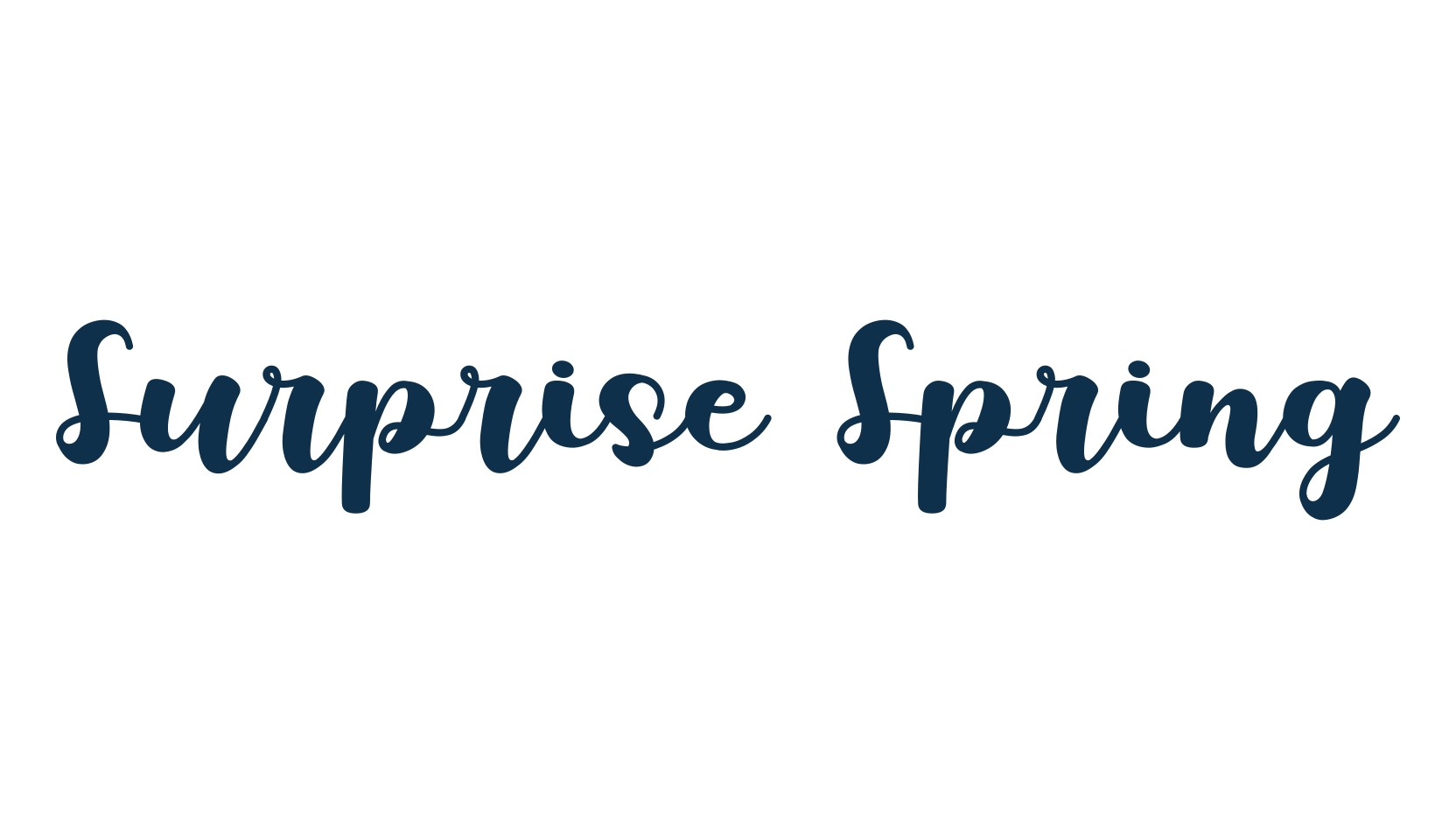 Surprise Spring, fancy decorative font preview