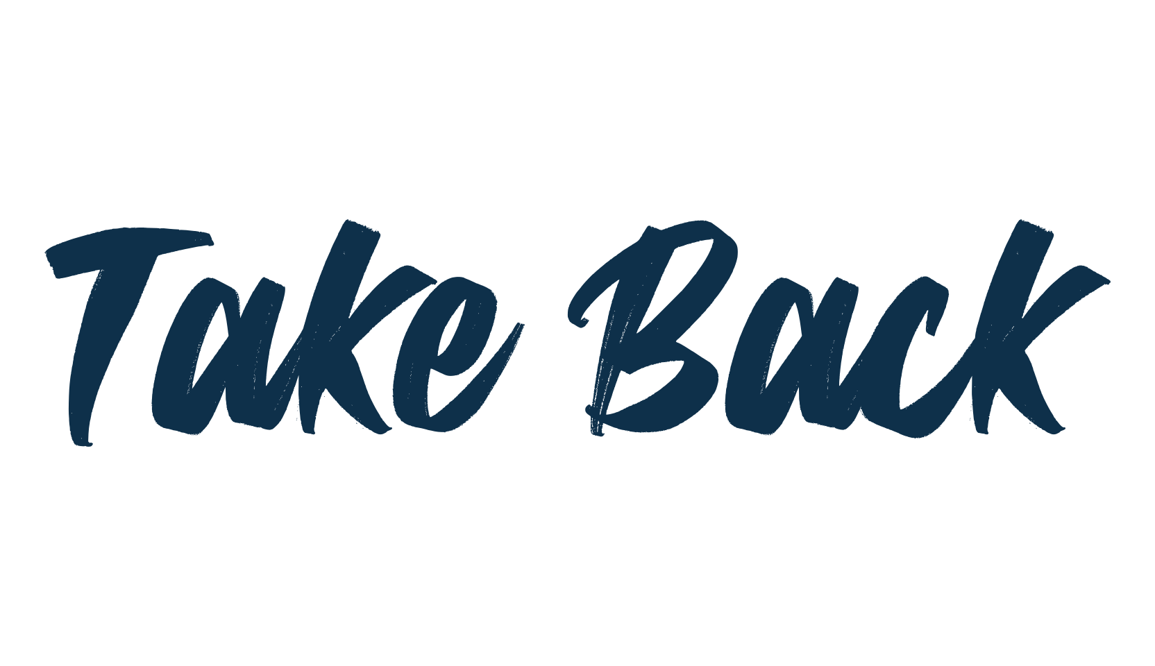 Take Back, script brush fancy decorative calligraphy font preview