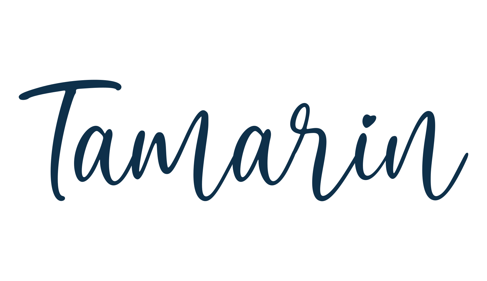 Tamarin, fancy various decorative script calligraphy font preview