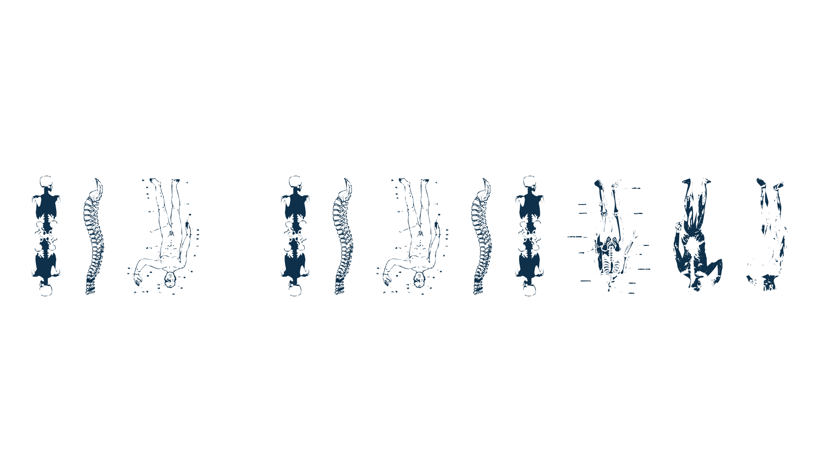 Tax Taxation, fancy decorative font preview