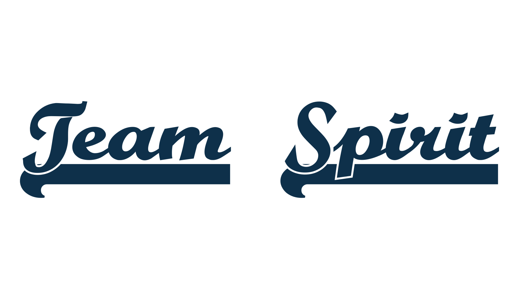 Team Spirit, fancy old school decorative script calligraphy font preview