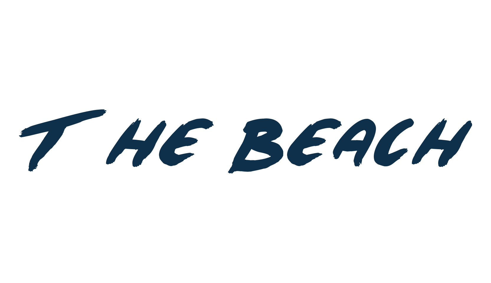 The Beach, script brush fancy decorative calligraphy font preview