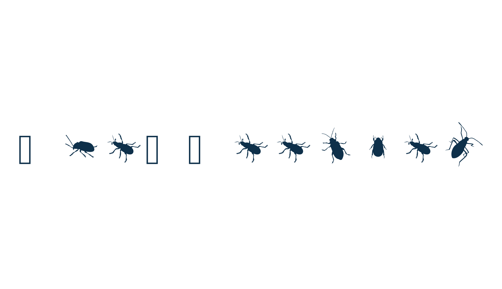 The Beetles, display market font preview