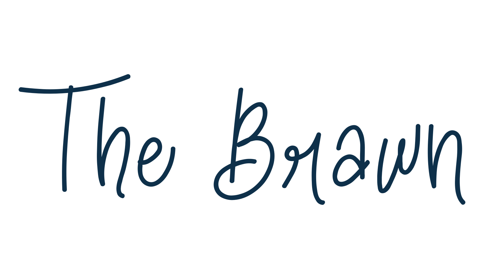The Brawn, script handwritten fancy decorative calligraphy font preview
