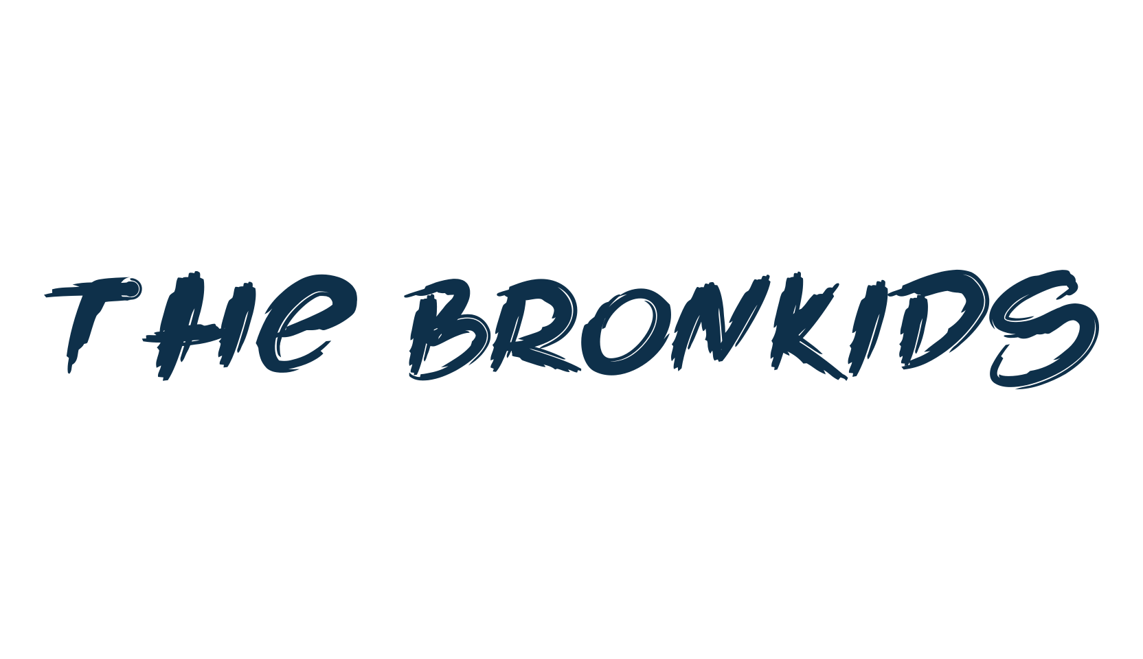 The Bronkids, script brush fancy decorative calligraphy font preview
