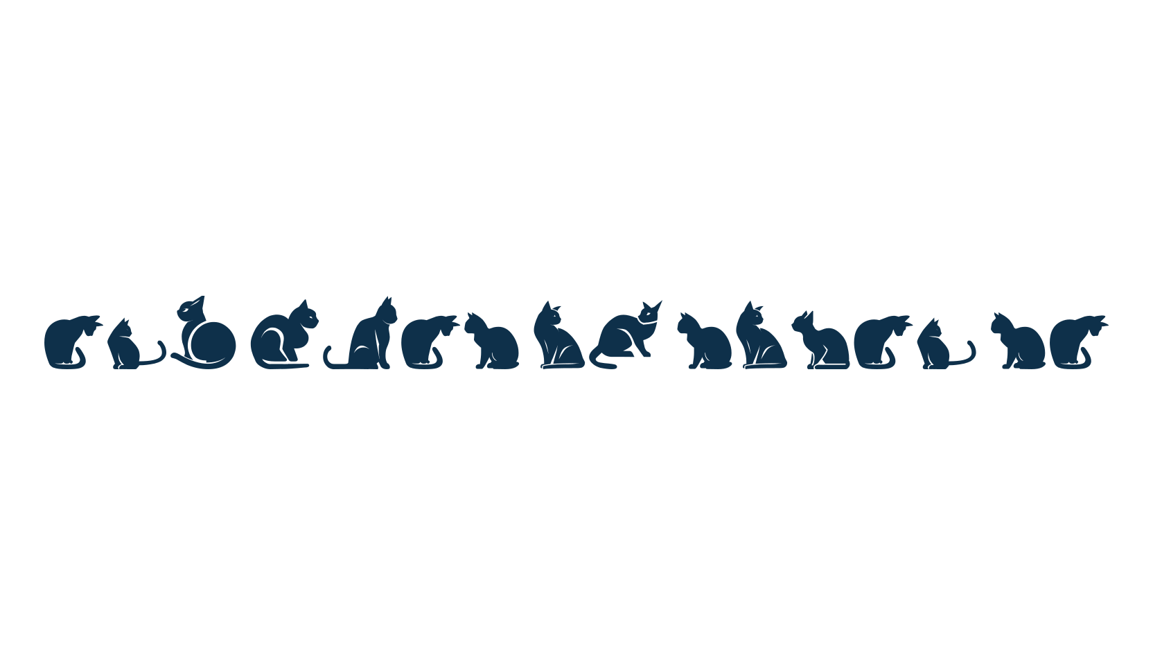 The Cats of South St, display market font preview