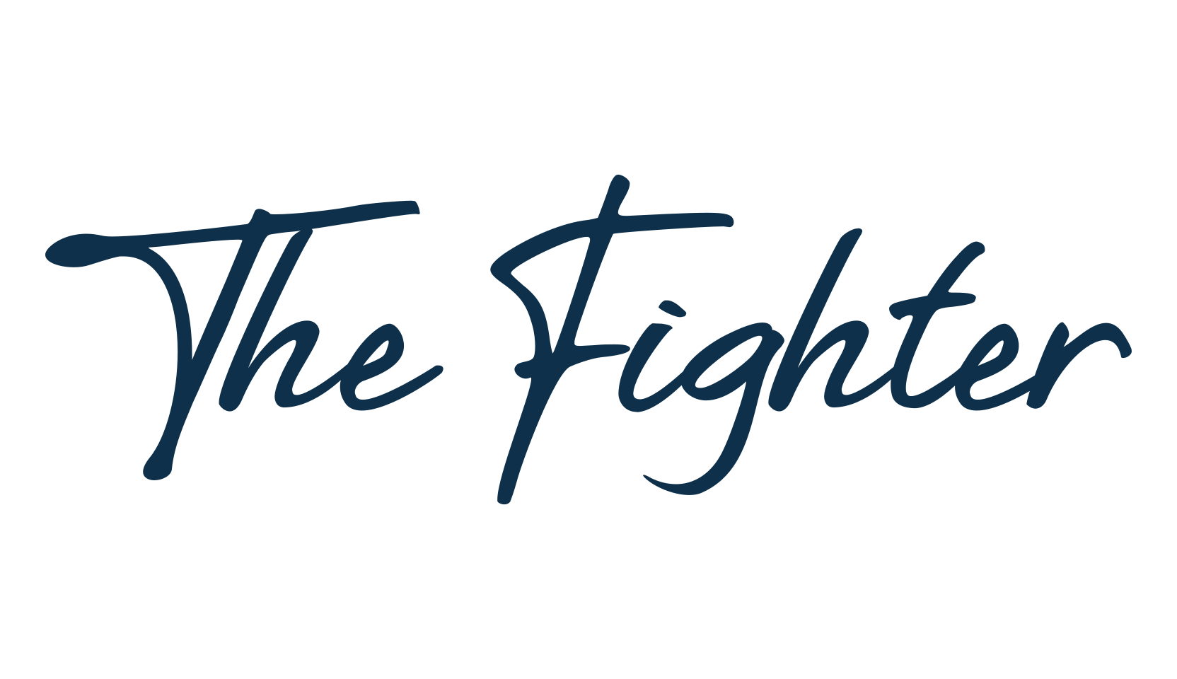 The Fighter, script handwritten fancy decorative calligraphy font preview
