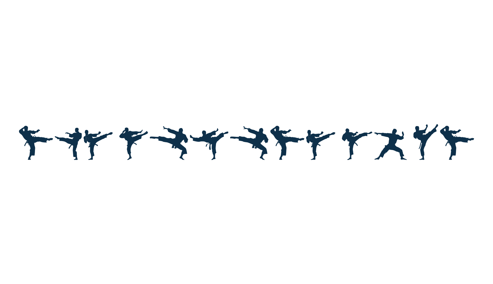The Karate Do ST, fancy decorative font preview