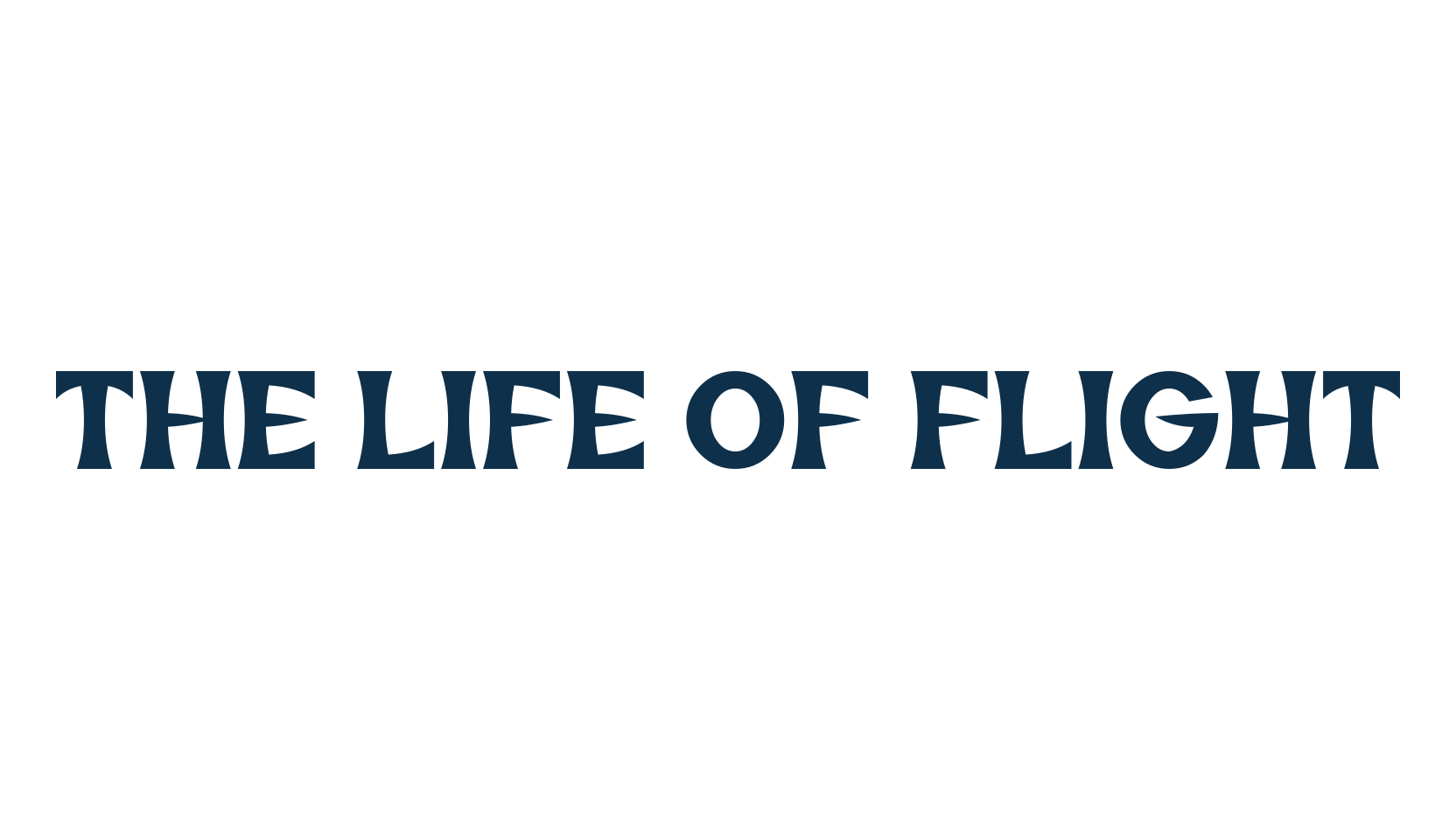 The Life of Flight, various font preview