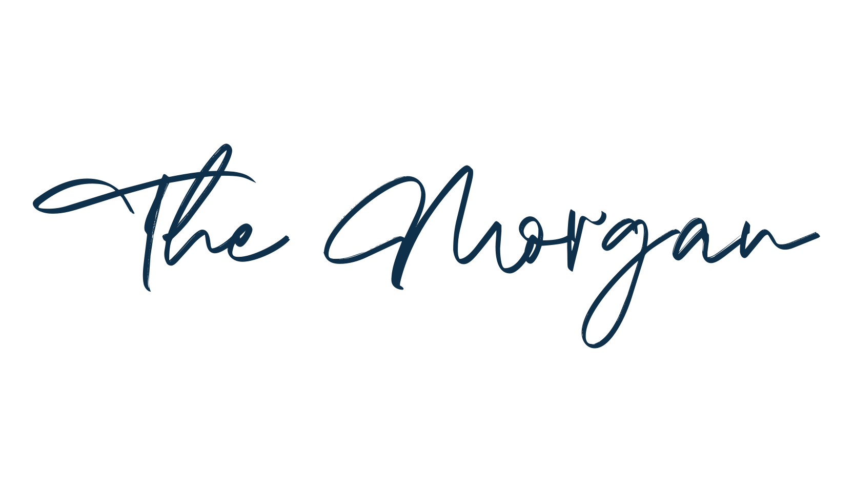 The Morgan, script handwritten fancy decorative calligraphy font preview