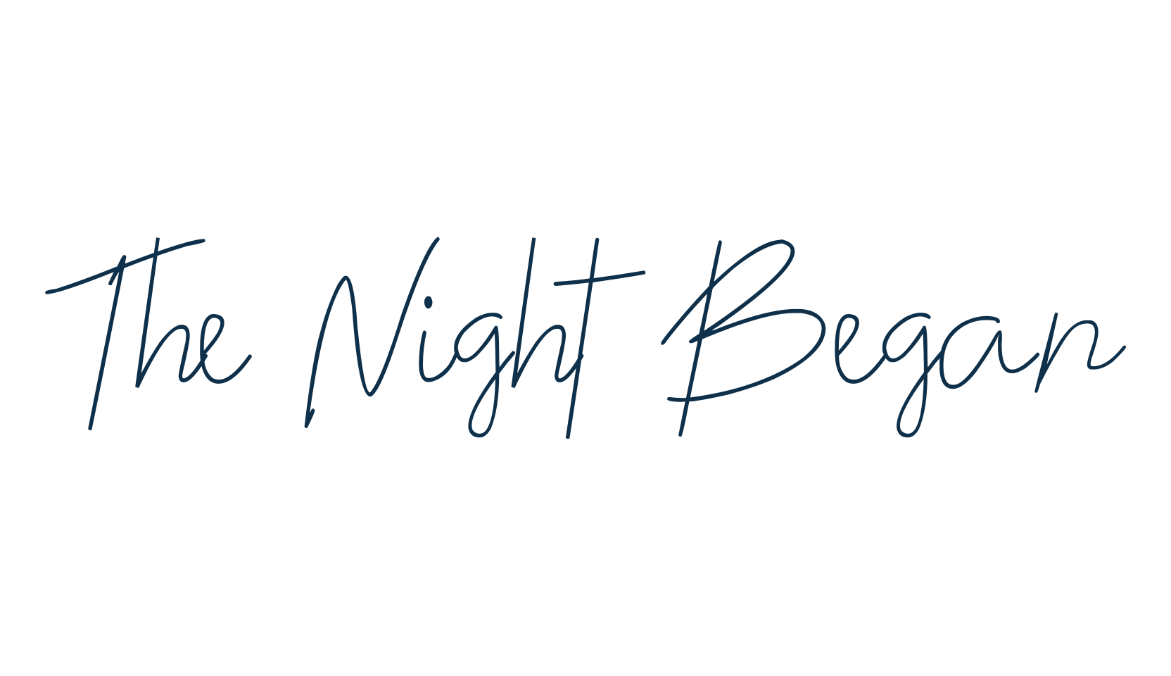 The Night Began, script handwritten fancy decorative calligraphy font preview