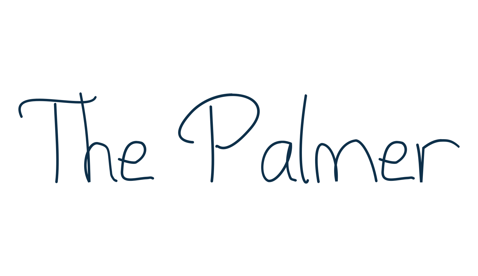 The Palmer, script handwritten fancy decorative calligraphy font preview