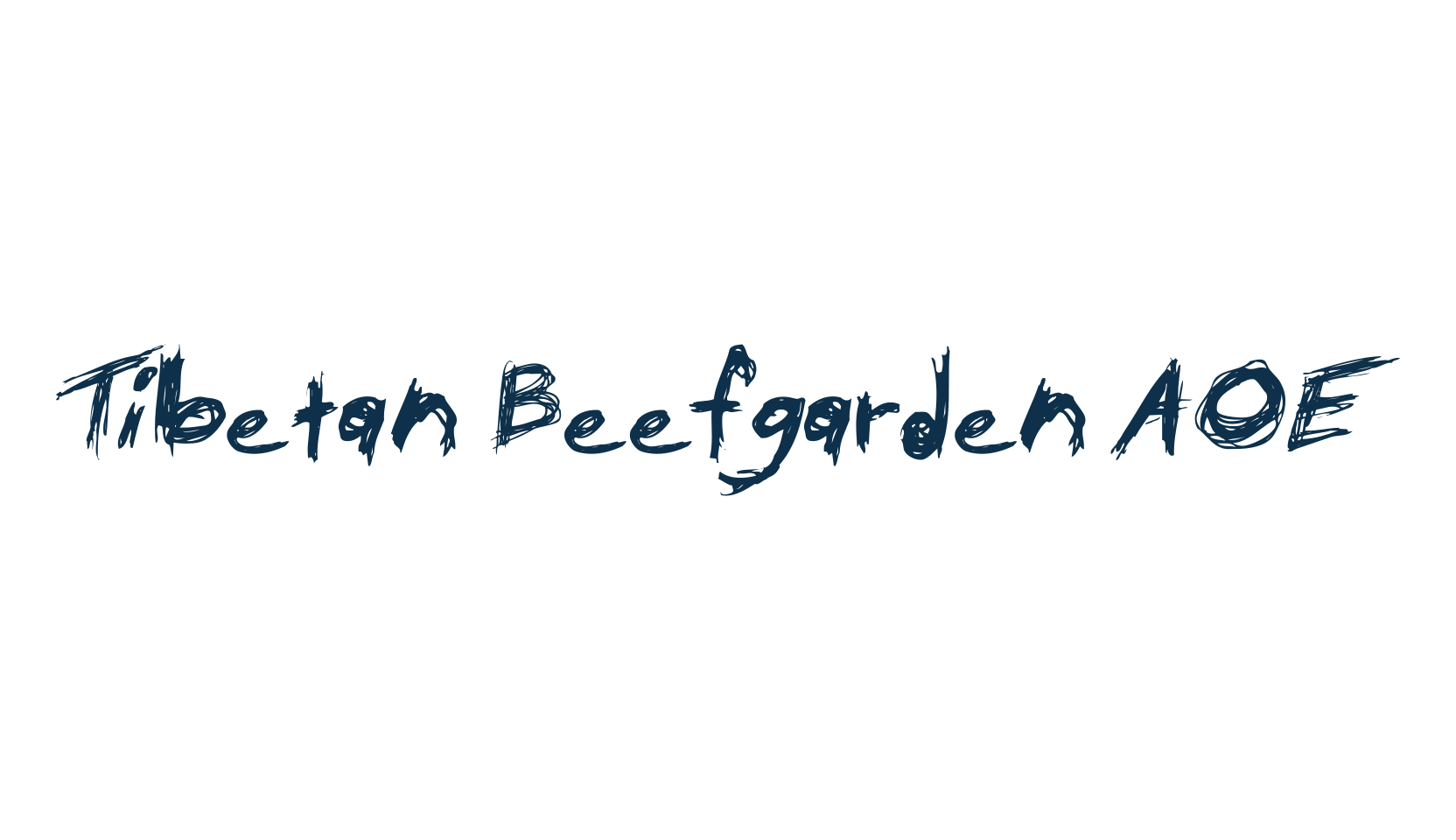 Tibetan Beefgarden AOE, script trash fancy decorative calligraphy font preview