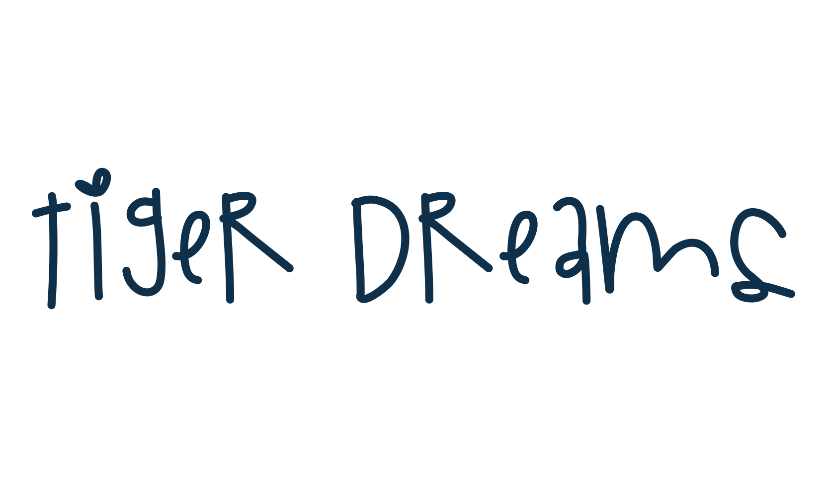 Tiger Dreams, script handwritten fancy decorative calligraphy font preview