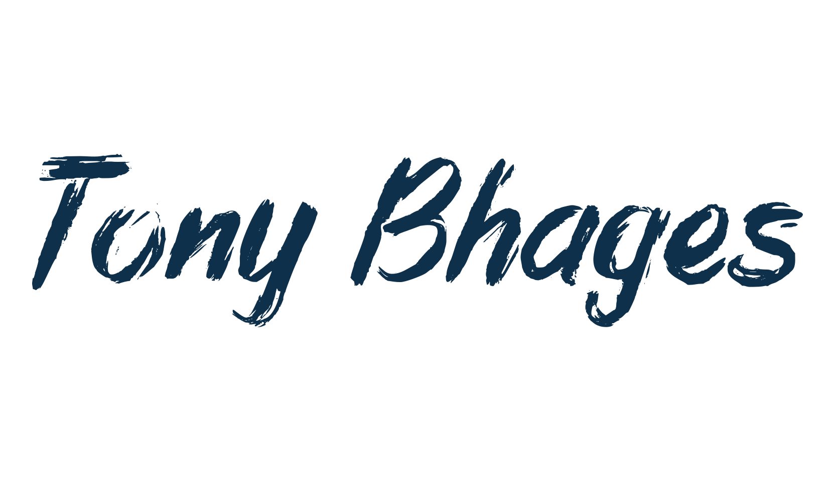 Tony Bhages, script brush fancy decorative calligraphy font preview