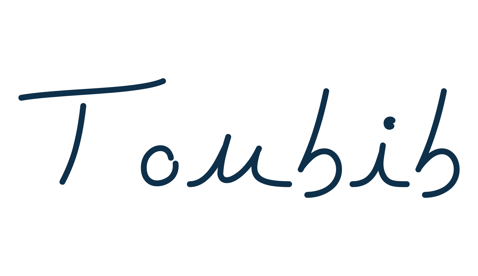 Toubib, script handwritten fancy decorative calligraphy font preview