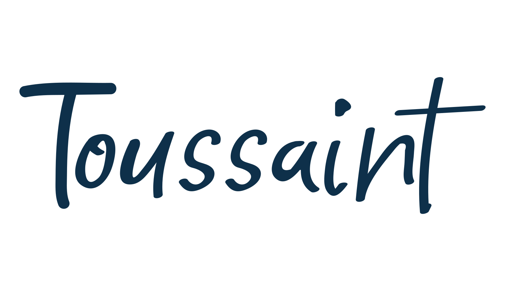 Toussaint, script handwritten fancy decorative calligraphy font preview