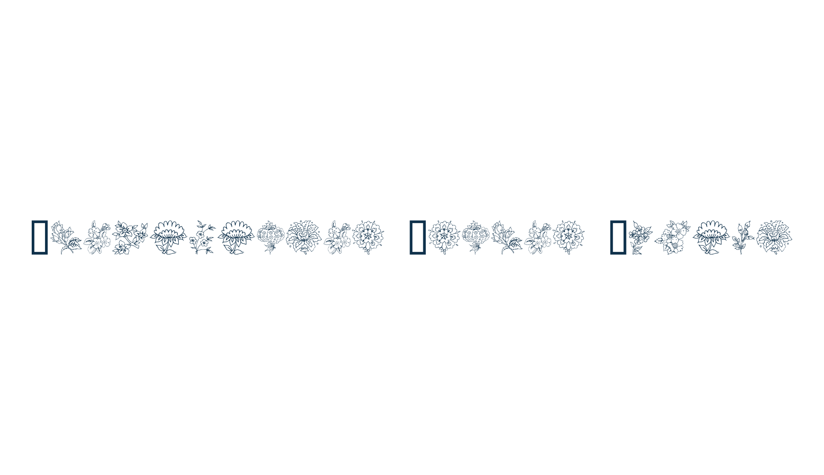 Traditional Floral Design, fancy decorative font preview