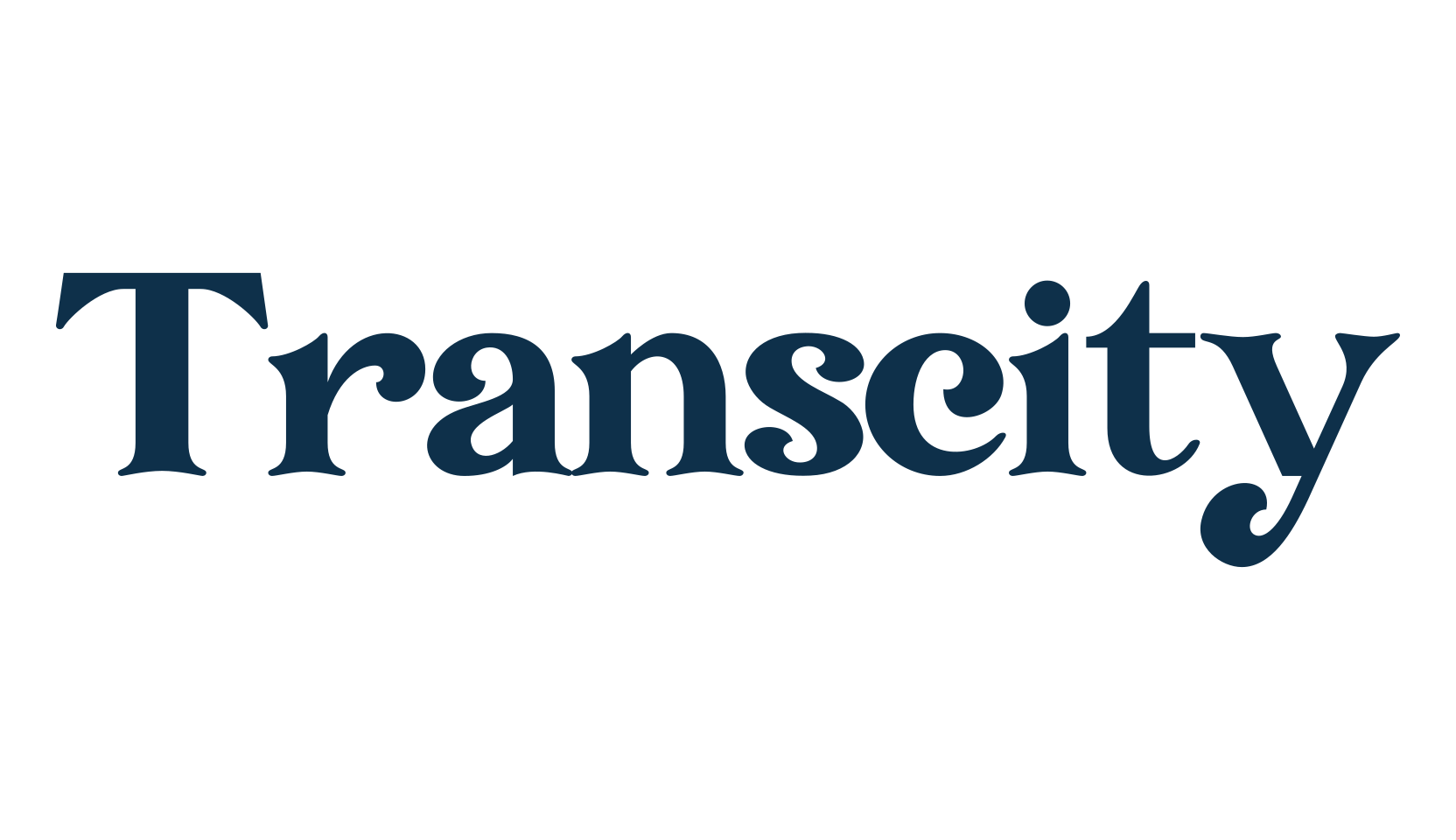 Transcity, serif font preview
