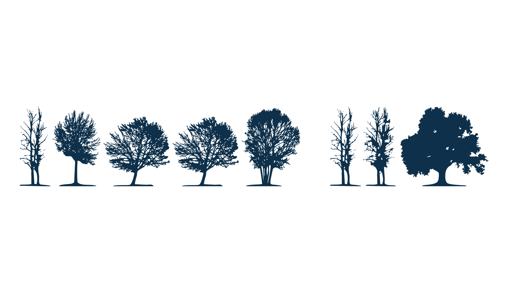 Trees TFB, display market font preview