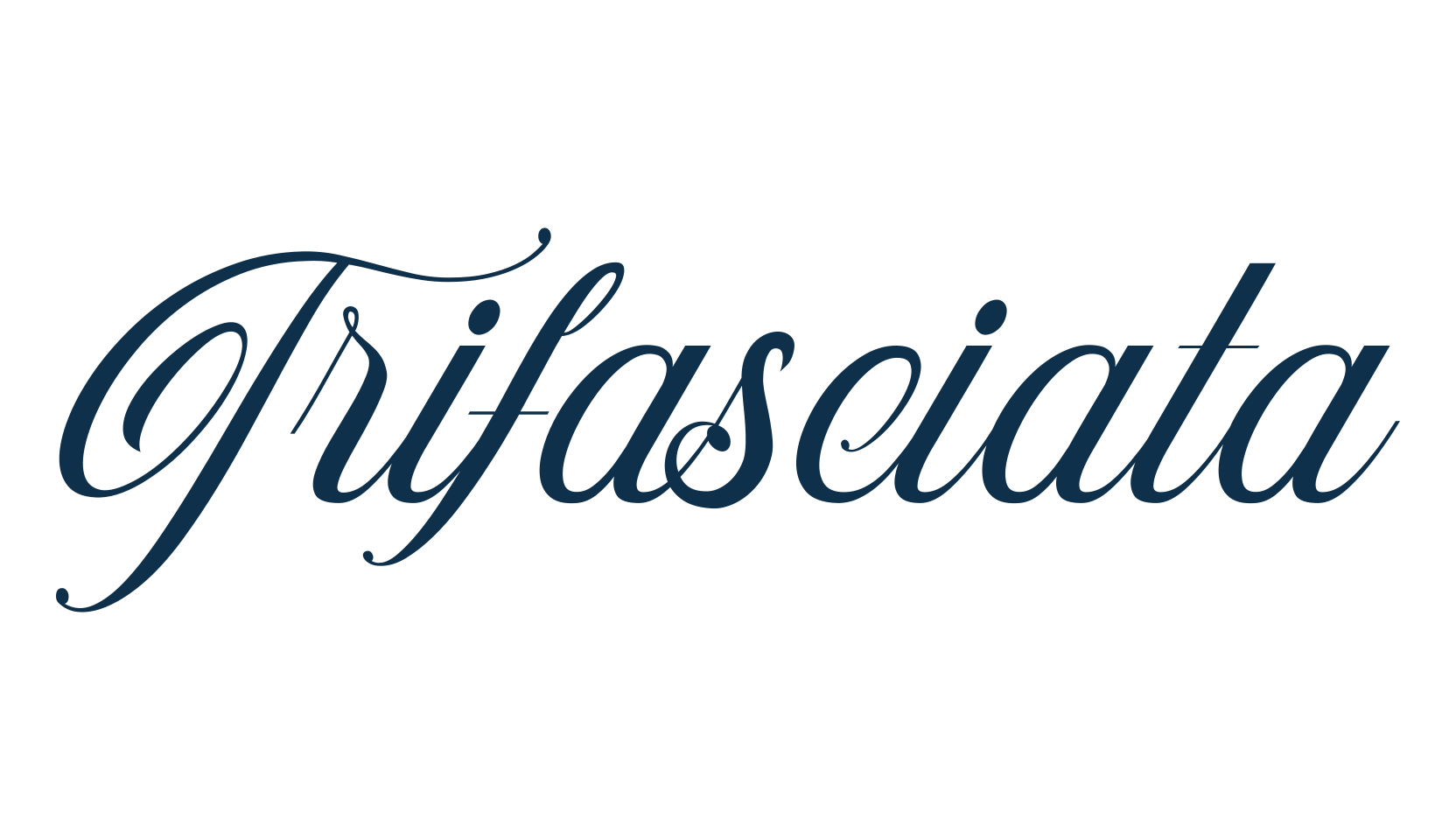 Trifasciata, script calligraphy fancy decorative font preview
