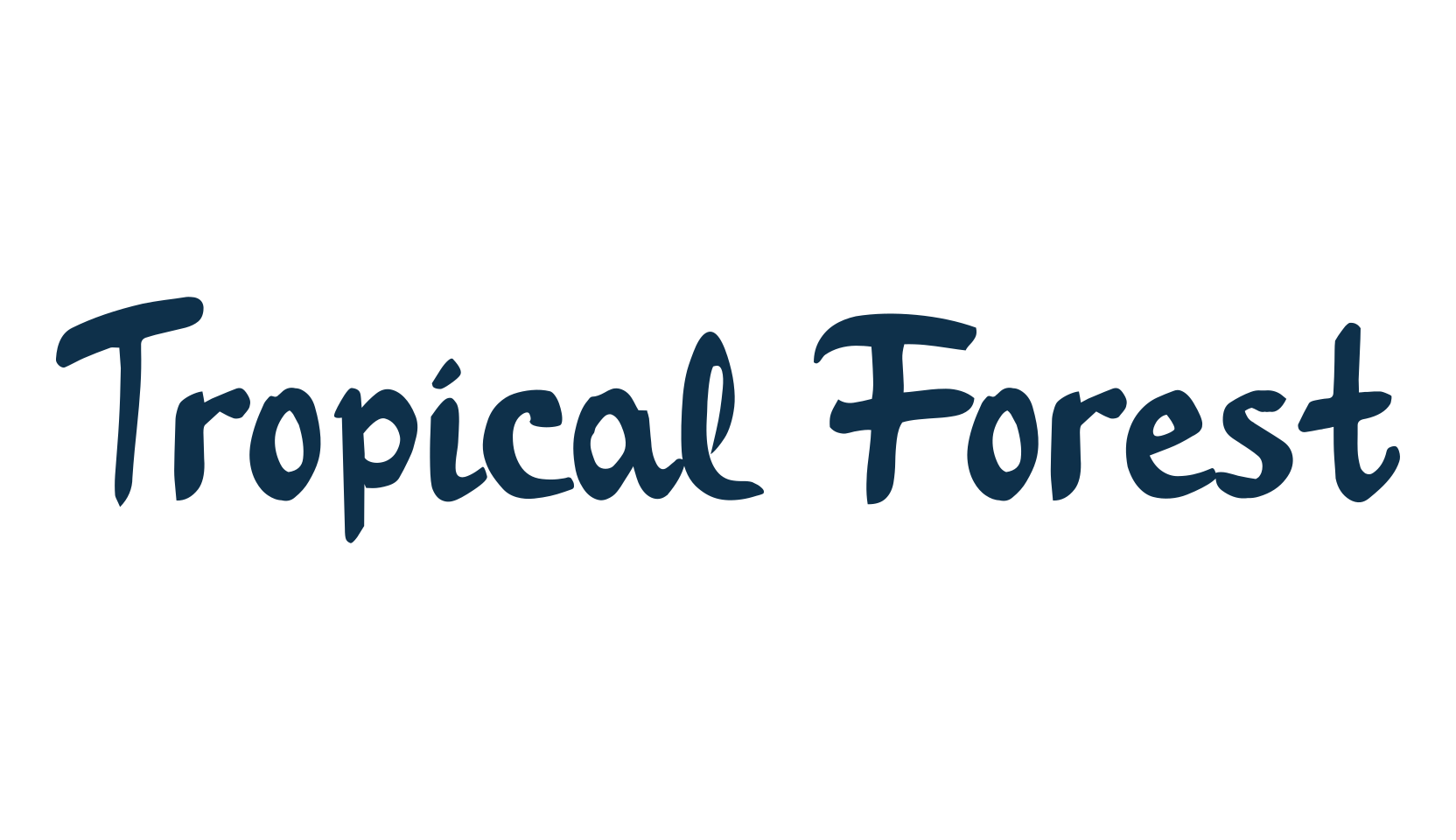 Tropical Forest, script handwritten fancy decorative calligraphy font preview