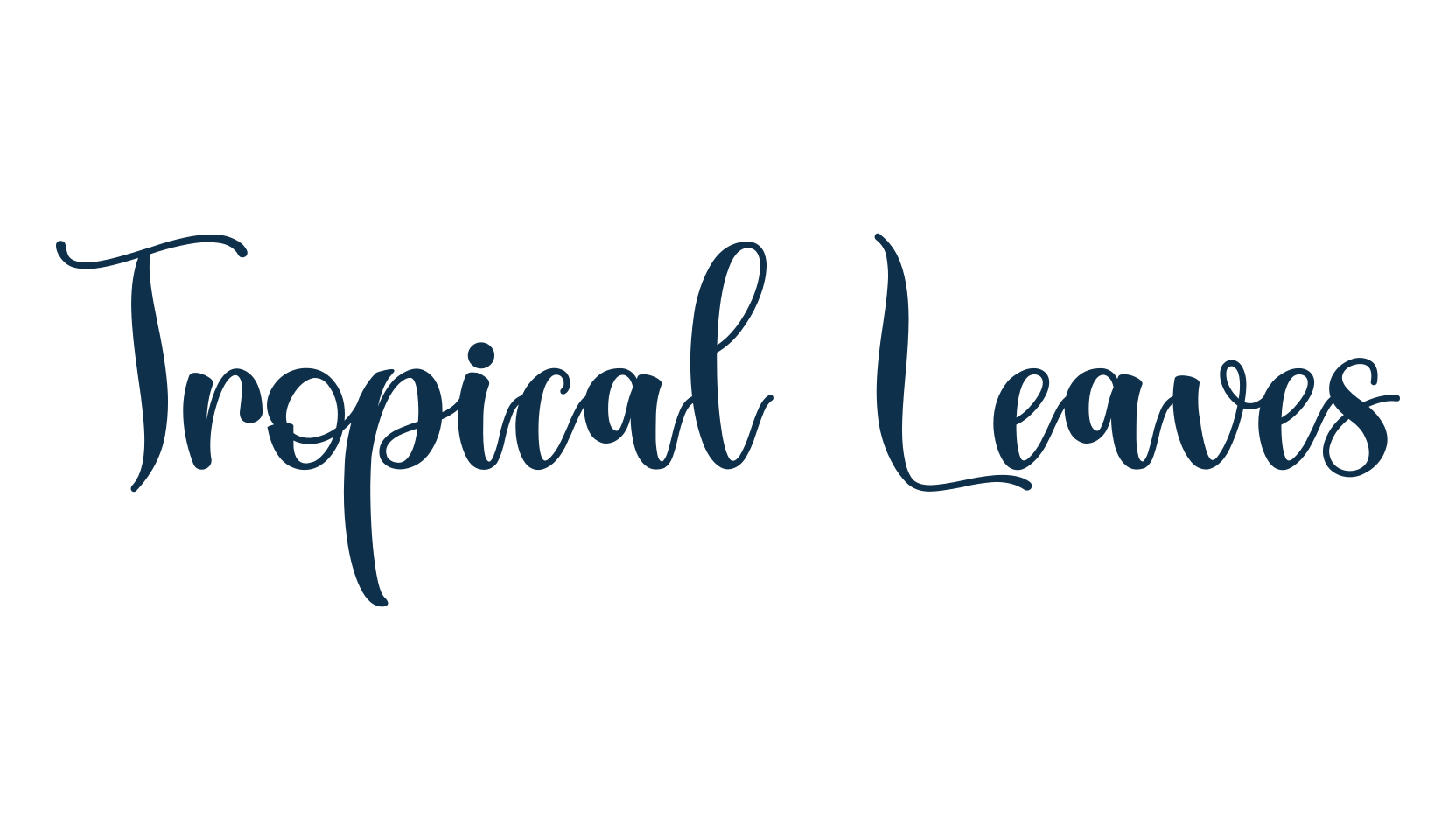 Tropical Leaves (tropical-leaves), display market font preview