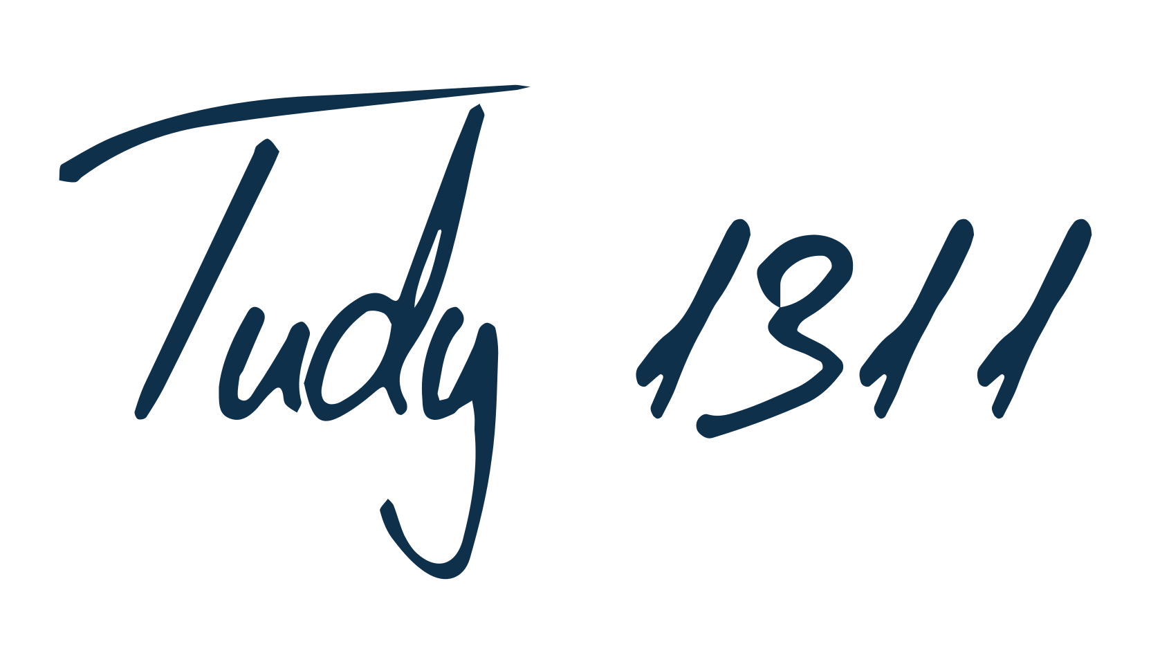 Tudy 1311, script handwritten fancy decorative calligraphy font preview