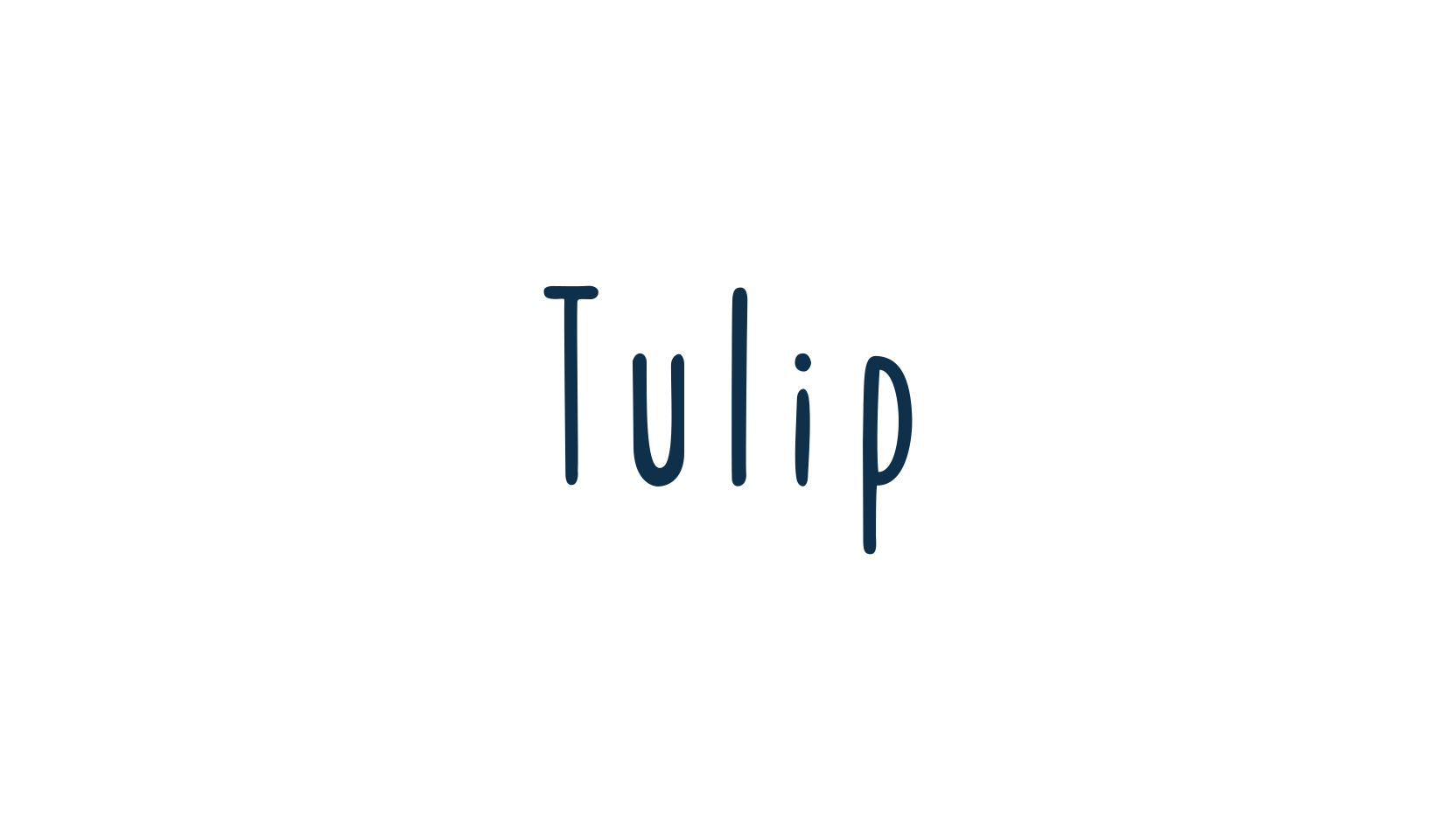 Tulip, script handwritten fancy decorative calligraphy font preview