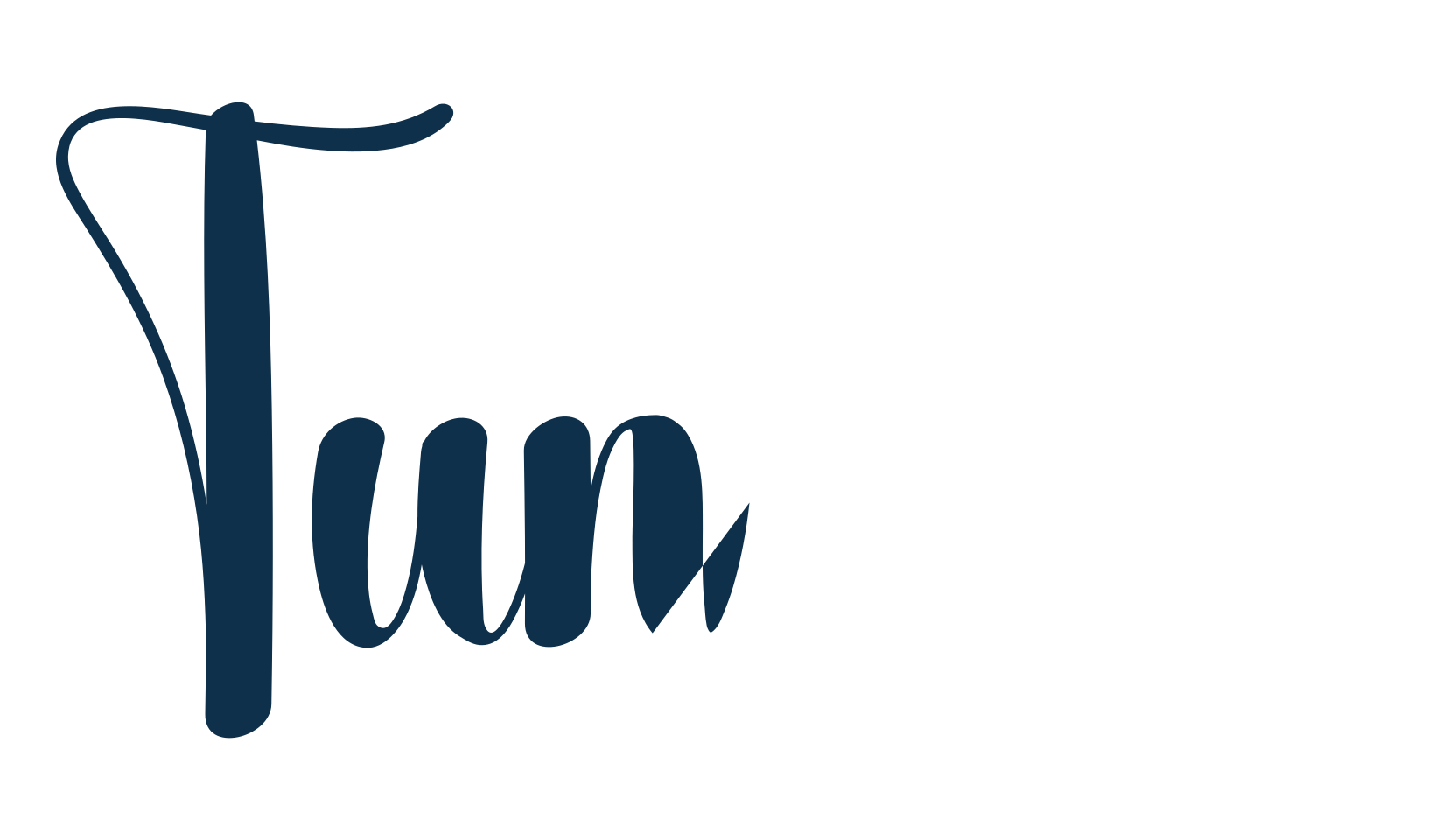 Tunnels, fancy various decorative script calligraphy font preview