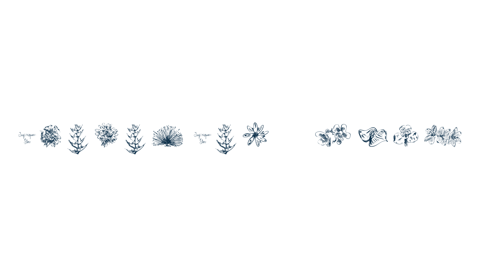 Tupiniquim Flora, fancy decorative font preview