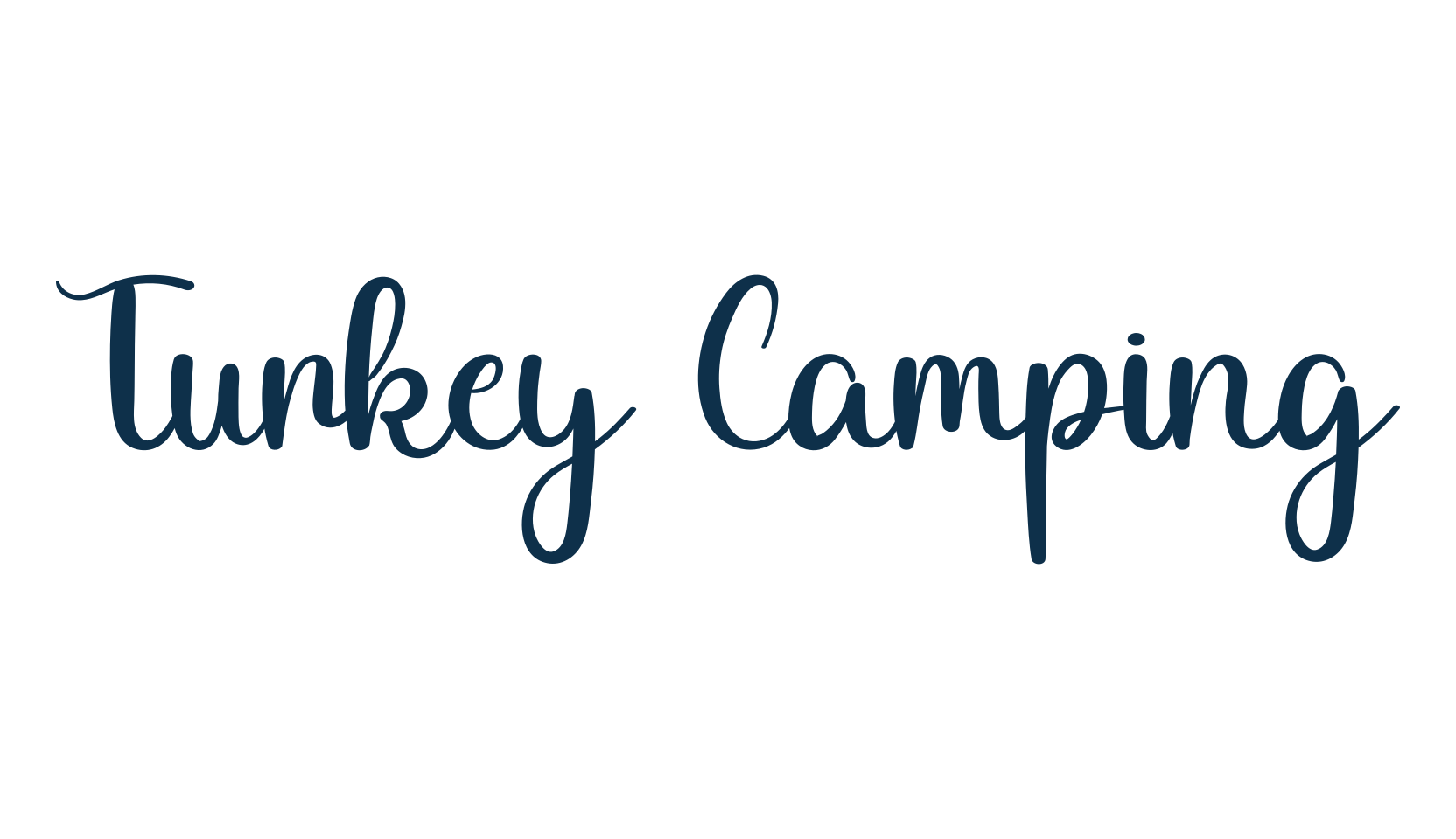 Turkey Camping, fancy various decorative script calligraphy font preview
