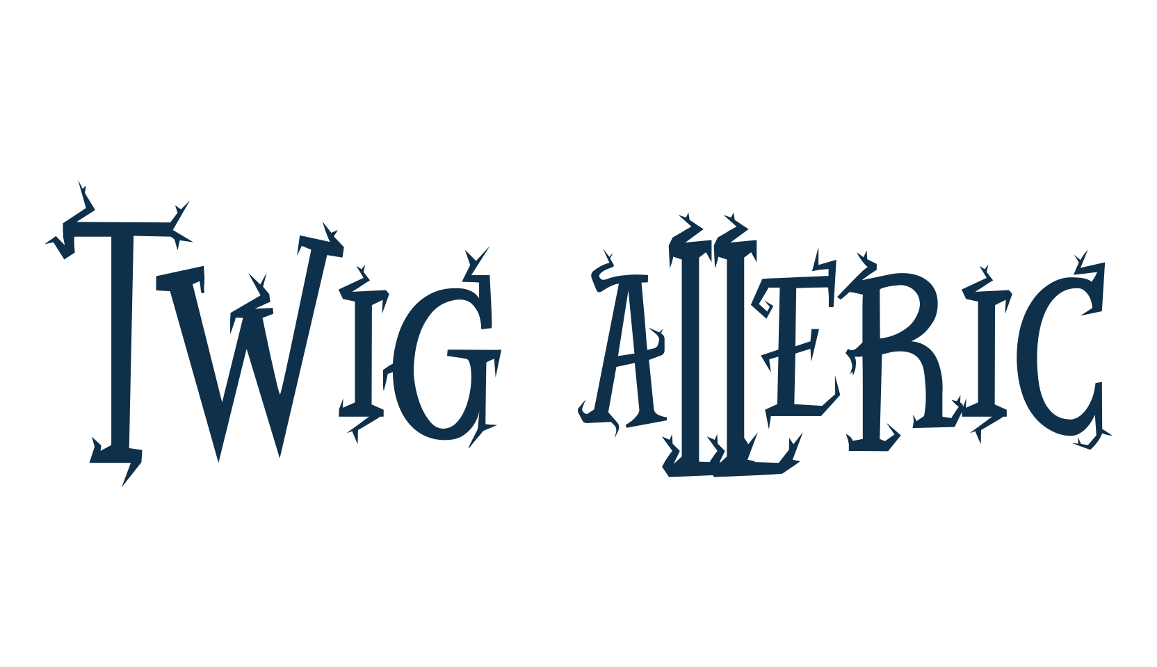 Twig Alleric, display market font preview