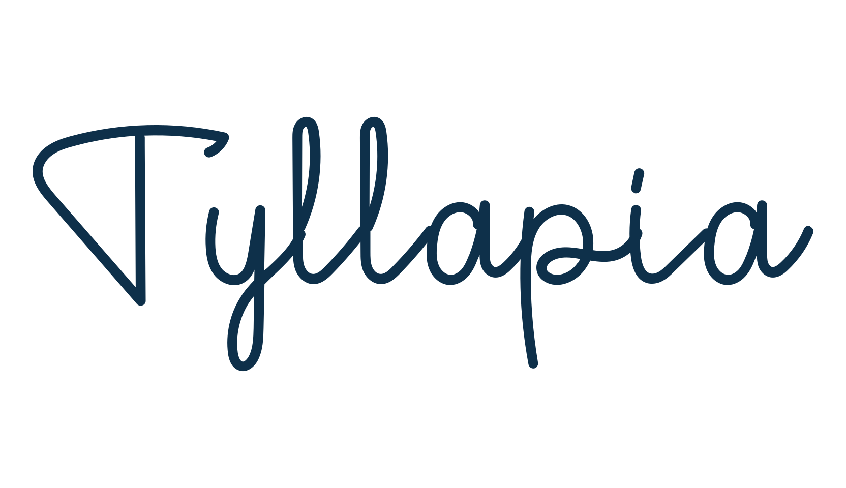 Tyllapia, script handwritten fancy decorative calligraphy font preview